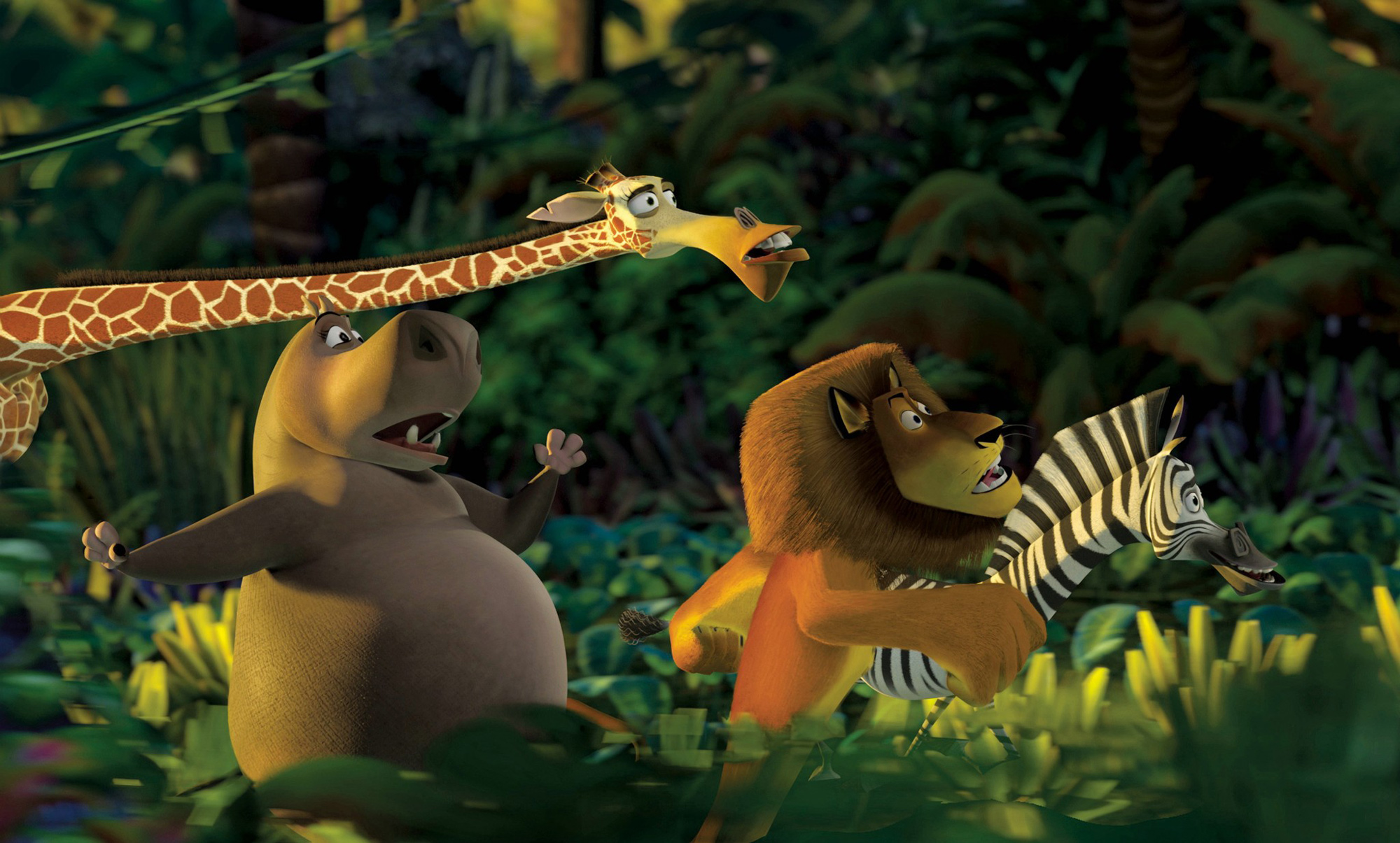 Still image from Madagascar showing the animals running through the forest.